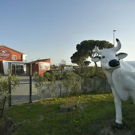 La Bottega Del Parco Hotel Piza